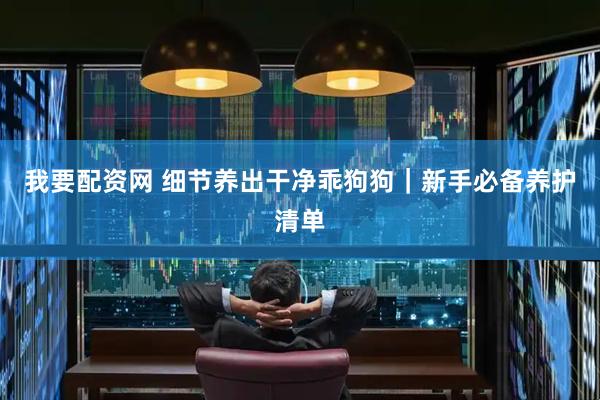 我要配资网 细节养出干净乖狗狗｜新手必备养护清单